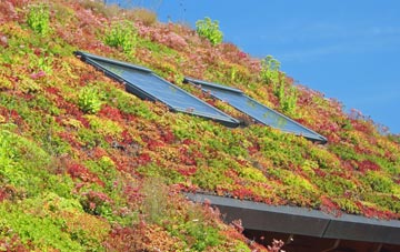 Coalburns living roof systems